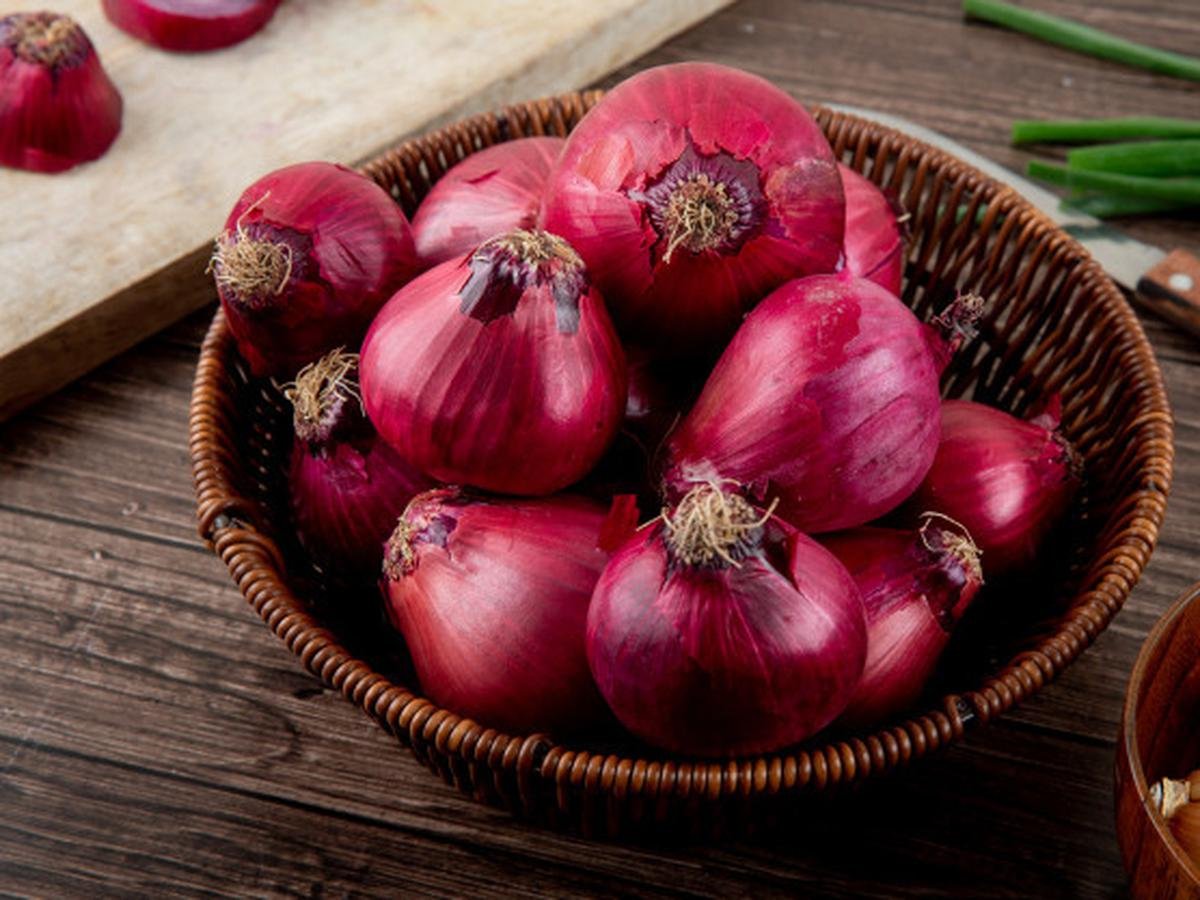 Panen tanaman bawang merah