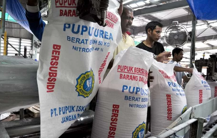 Pupuk untuk tanaman bawang merah